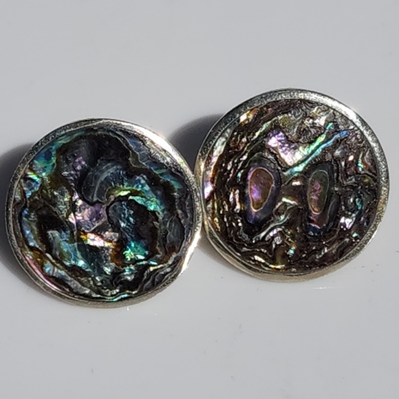 Abalone Shell Round Earrings - Picture 9 of 13